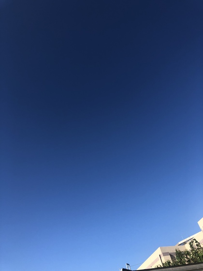 執着を手放す