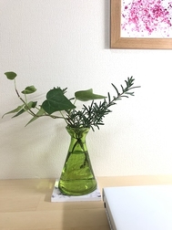 リモートワークで集中力をあげるには